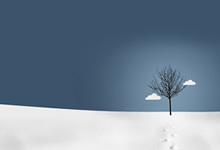 法國法令2019-1007協調與某些非食品產品安全有關的監管規定